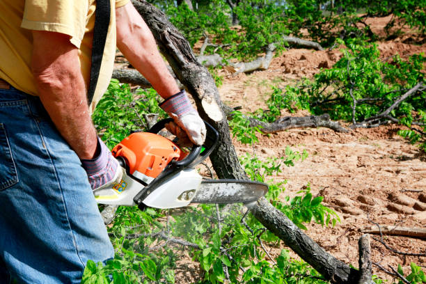  , NH Tree Services Pros